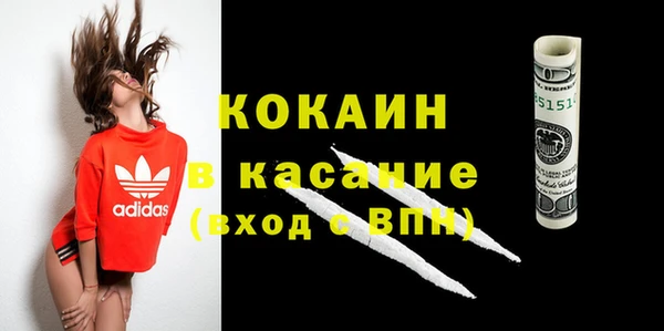 индика Алексеевка
