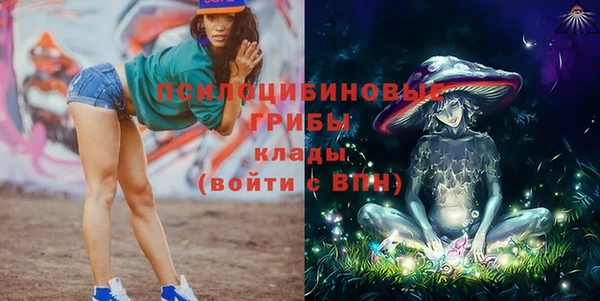 индика Алексеевка