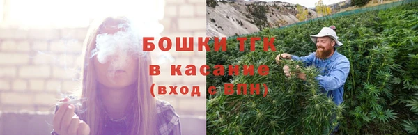тгк Аркадак