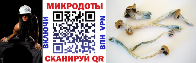 Галлюциногенные грибы ЛСД  хочу наркоту  Можга 