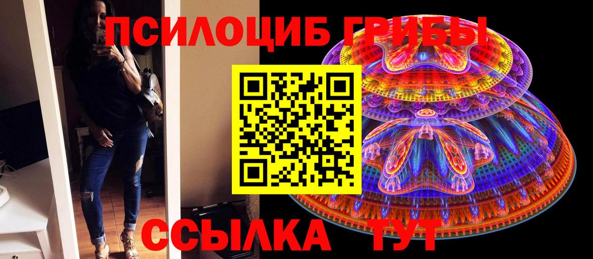 Можга  Псилоцибиновые грибы Psilocybe  Вход с VPN 