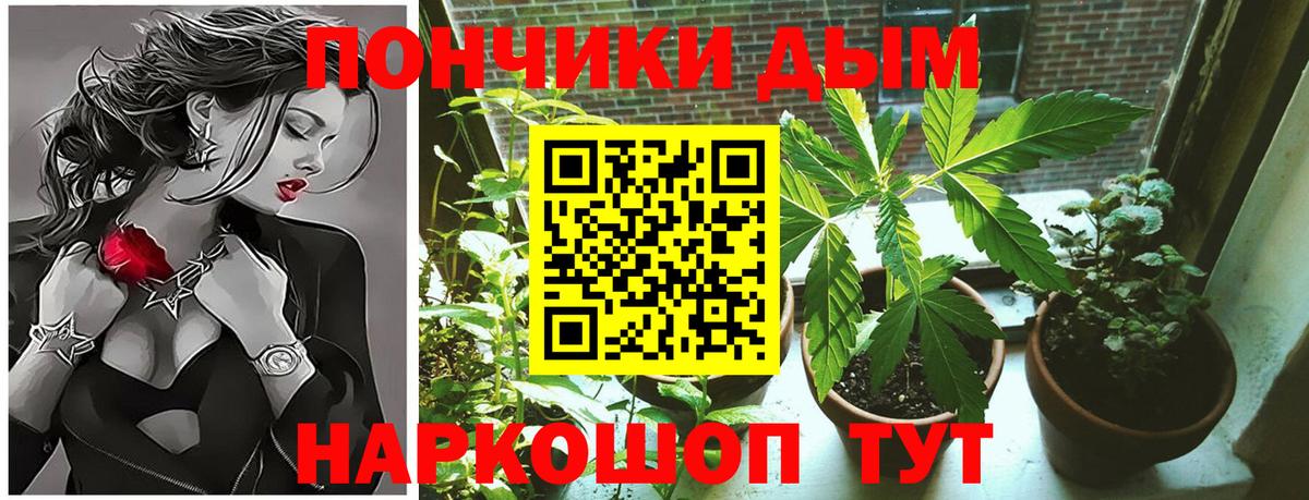 МАРИХУАНА THC 21% Можга